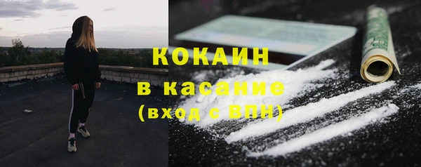 стаф Абинск
