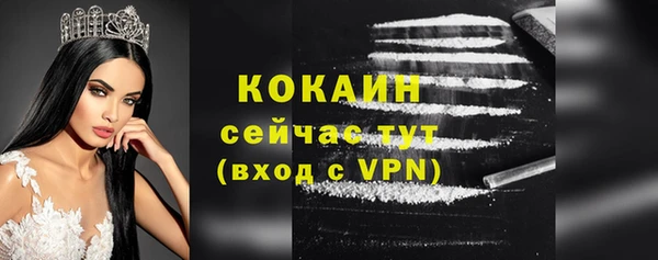 стаф Абинск